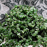 Jade (Canadian jade) bracelet cut AA quality