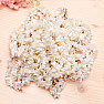 Mother of pearl necklace, chopped