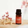 By Nefertitis Sweet Orange 100% essential oil 10 ml