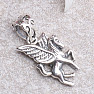 Pendant Pegas winged horse silver Ag 925