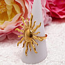Ring for the witch Solar energy