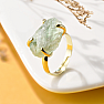 Ring for the witch The power of life