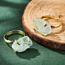 Ring for the witch The power of life