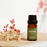 By Nefertitis Rhizome 100% essential oil 10 ml