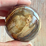 Petrified Wood Sphere Madagascar 5