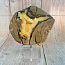 Polished Septoria slice 10