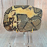 Polished Septoria slice 6