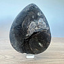 Septoria Dragon Egg Madagascar OS-11