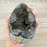 Septoria Dragon Egg Madagascar OS-12