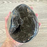 Septoria Dragon Egg Madagascar OS-13