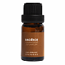 By Nefertitis Cinnamon 100% essential oil 10 ml