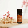 By Nefertitis Cinnamon 100% essential oil 10 ml
