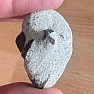 Staurolite in matrix Russia 5