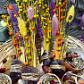 Ostara bundle with palo santo and amethyst Spring Awakening