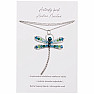 Dragonfly designer necklace made of surgical steel