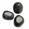 Olivine in magnetite drummed by the USA