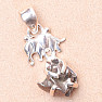 Meteorite Campo del Cielo pendant silver Ag 925 Y5660
