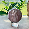 Petrified Wood Sphere Madagascar 1