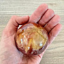 Petrified Wood Sphere Madagascar 19