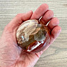 Petrified Wood Sphere Madagascar 21