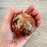 Petrified Wood Sphere Madagascar 23