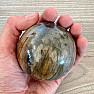 Petrified Wood Sphere Madagascar 26